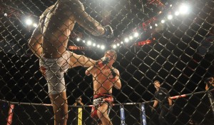 Notable Fighters in the World of Mixed Martial Arts