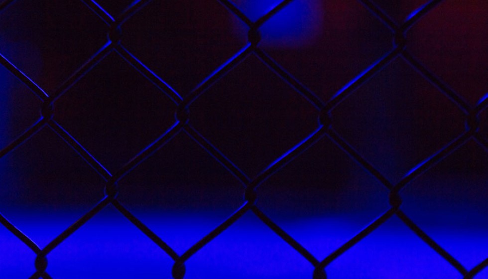 Notable Fighters in the World of Mixed Martial Arts